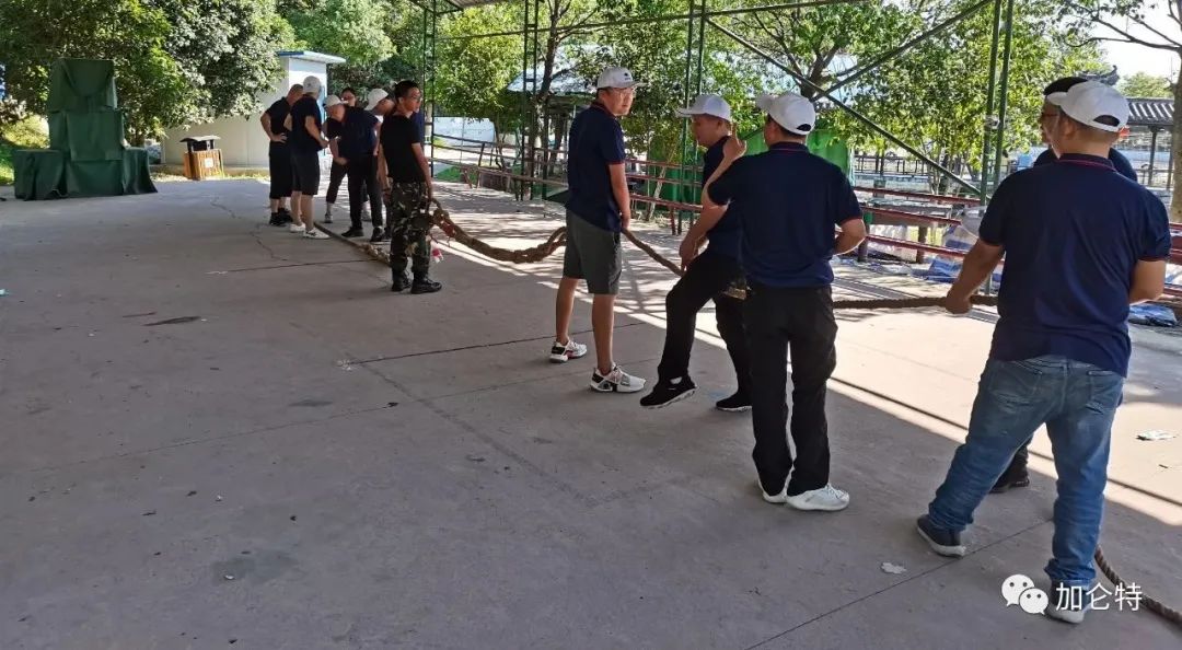 鸿运国际·(中国)手机版登录入口